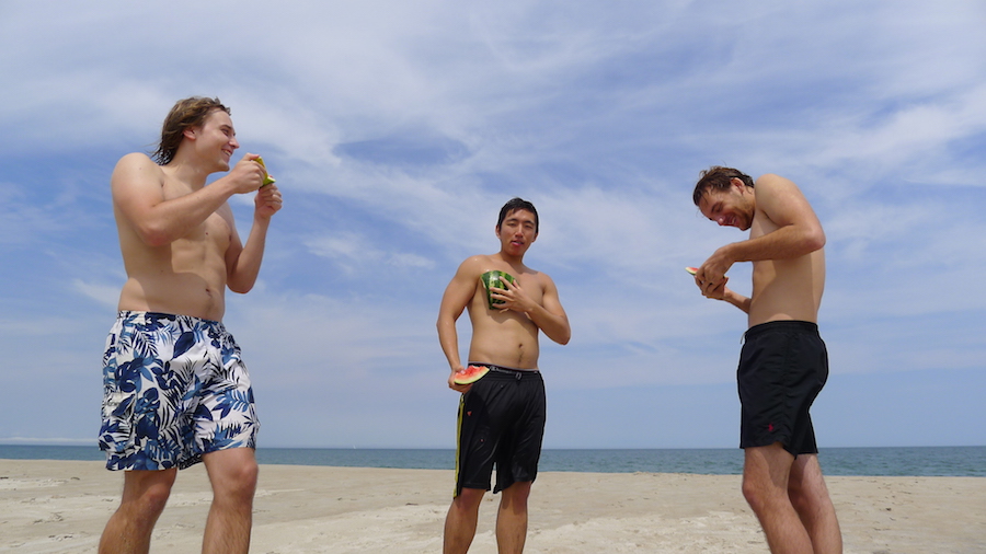 LabBeachTrip