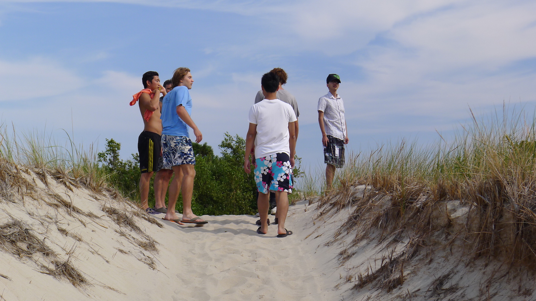 LabBeachTrip